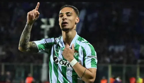 报道声称 报道声称