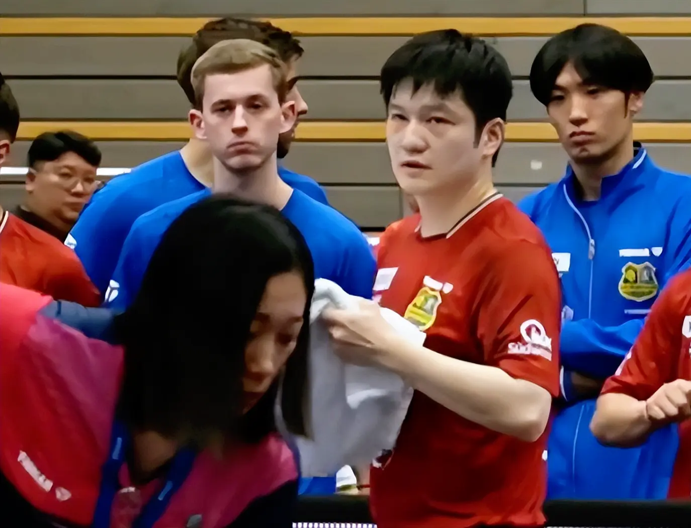 恭喜樊振东 恭喜樊振东